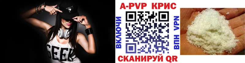 APVP СК  Фрязино 