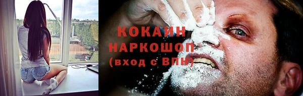 индика Абаза