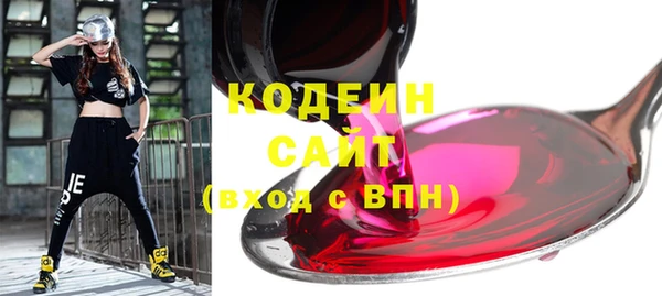 индика Абаза
