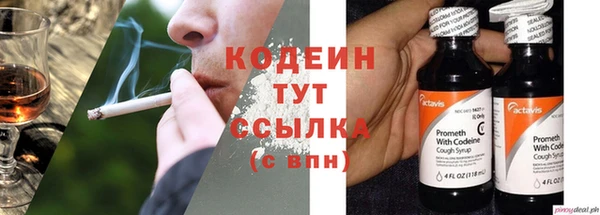 индика Абаза