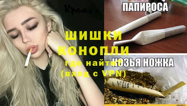 индика Абаза