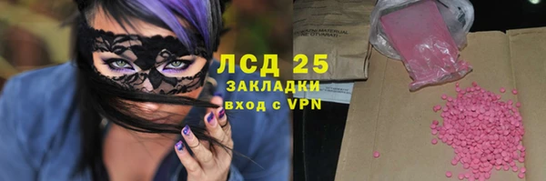 индика Абаза