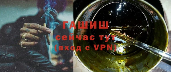 индика Абаза
