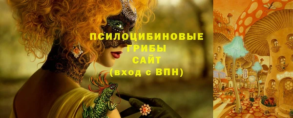 бошки Абдулино