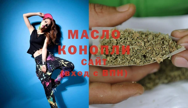индика Абаза