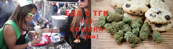 индика Абаза