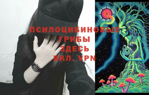 индика Абаза
