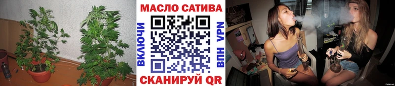 купить наркоту Фрязино Дистиллят ТГК гашишное масло