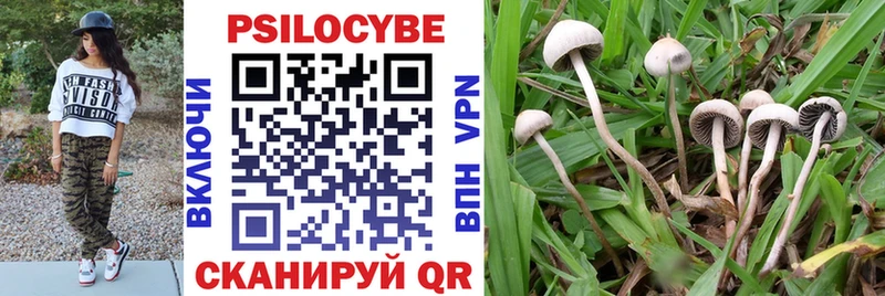 кракен рабочий сайт  дарнет шоп  Фрязино  Псилоцибиновые грибы Psilocybine cubensis 