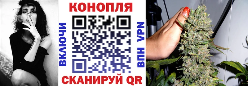 как найти наркотики  Фрязино  ссылка на мегу вход  Марихуана конопля 